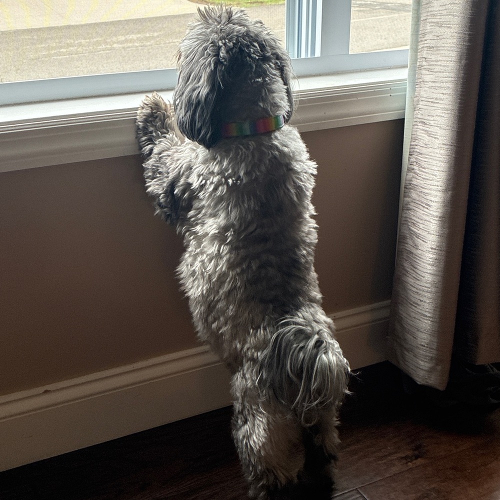 Meet your Posher, Mary